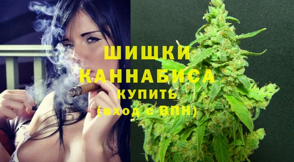 индика Инта