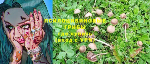каннабис Баксан
