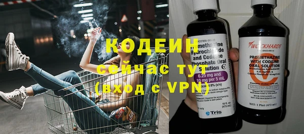 шишки Балахна